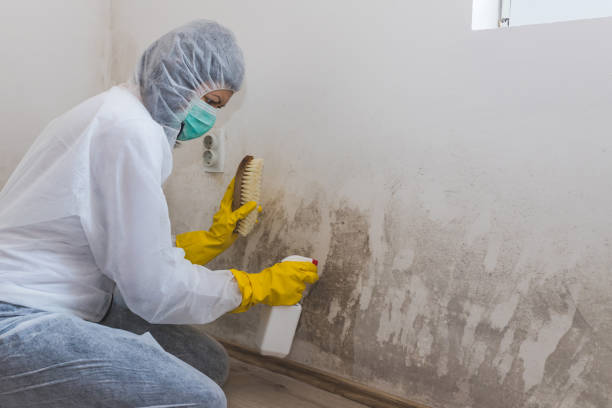 Best Residential Mold Removal  in Portland, TN