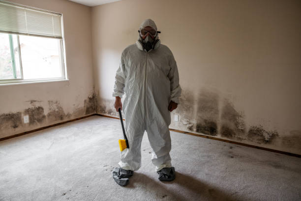 Best Local Mold Removal Service  in Portland, TN