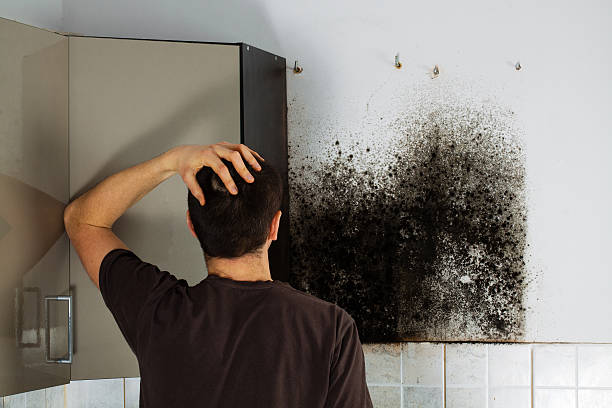 Best Home Mold Removal  in Portland, TN